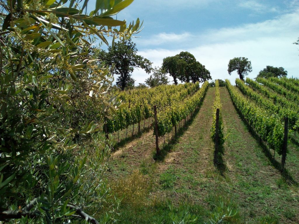 ricambio generazionale
